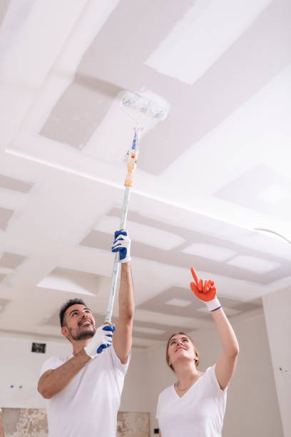Best Black Mold Removal  in North Sarasota, FL