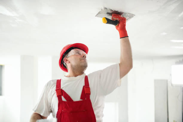 Best Emergency Mold Remediation  in North Sarasota, FL