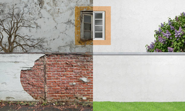 Best Industrial Mold Remediation  in North Sarasota, FL