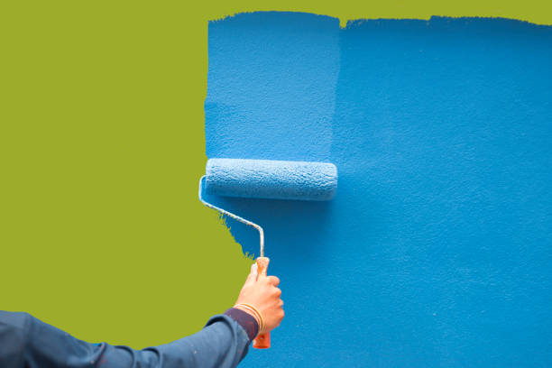Best Basement Mold Removal  in North Sarasota, FL